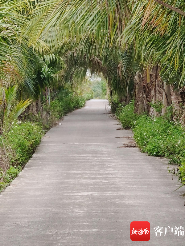 新海南调查｜网红山钦湾能否继续红？