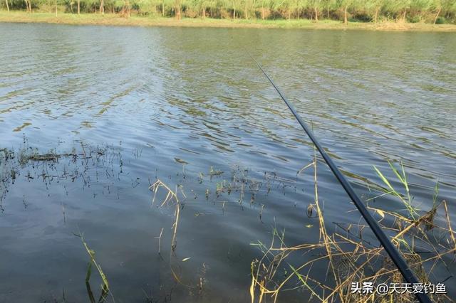 野钓必杀技：选择不同的“方位”，影响了鱼获多少