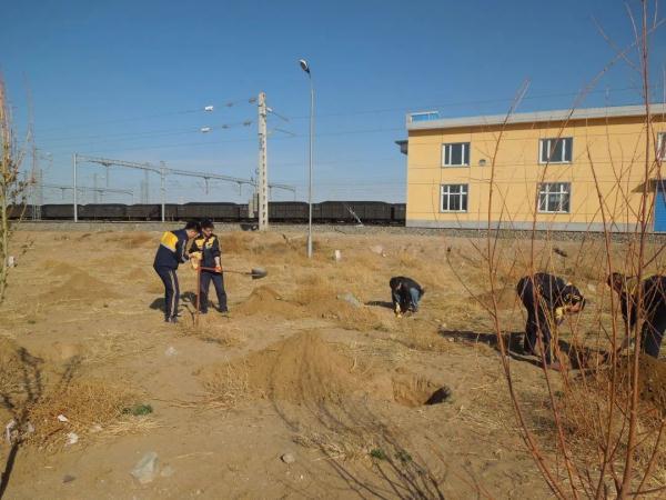 他们在沙漠里实现了“果蔬自由”