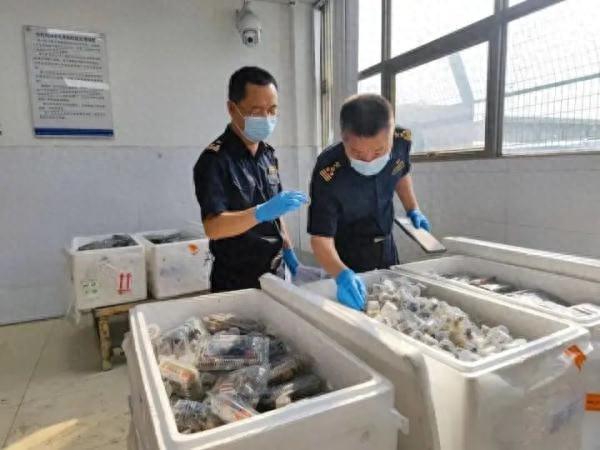 查获5380只活体！这种生物名字炸裂，让人头皮发麻……