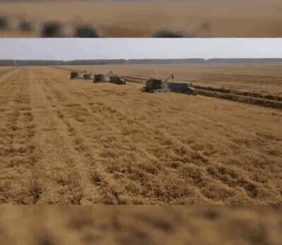 我问你这瓜保熟吗？保熟！我这大数据挑瓜，红外测糖，震动测脆度……