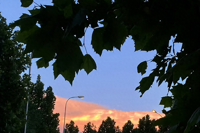 跟你接触时，男人有这3个特质，说明他早已动心