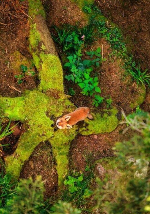 外国网友分享大自然令人震撼的瞬间，这世界真的太美好了