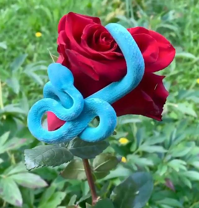 外国网友分享大自然令人震撼的瞬间，这世界真的太美好了