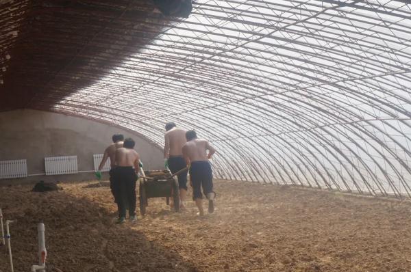 他们在沙漠里实现了“果蔬自由”