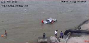 老汉推车(“洪水中多人推车”视频引关注，带头帮70岁老人推车的社区书记：这就是个小事情)