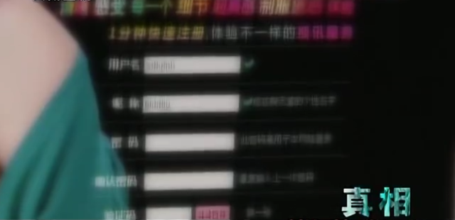 2009年,7.3亿访问量的色情网站“丁香”覆灭,背后是谁在操控?