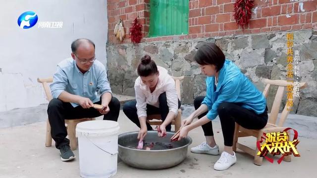 “豆腐西施杨七巧”穿皮裤捉虾，大石坡村上演虾王争霸