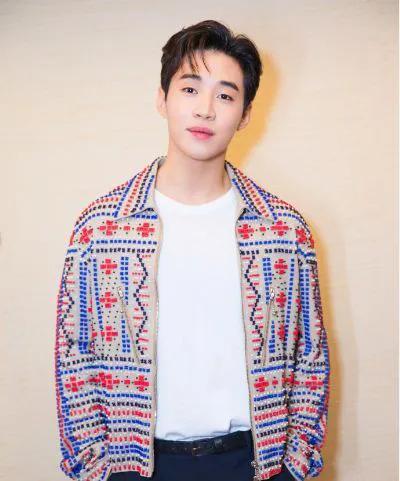 刘宪华：才华横溢的音乐才子与全能艺人