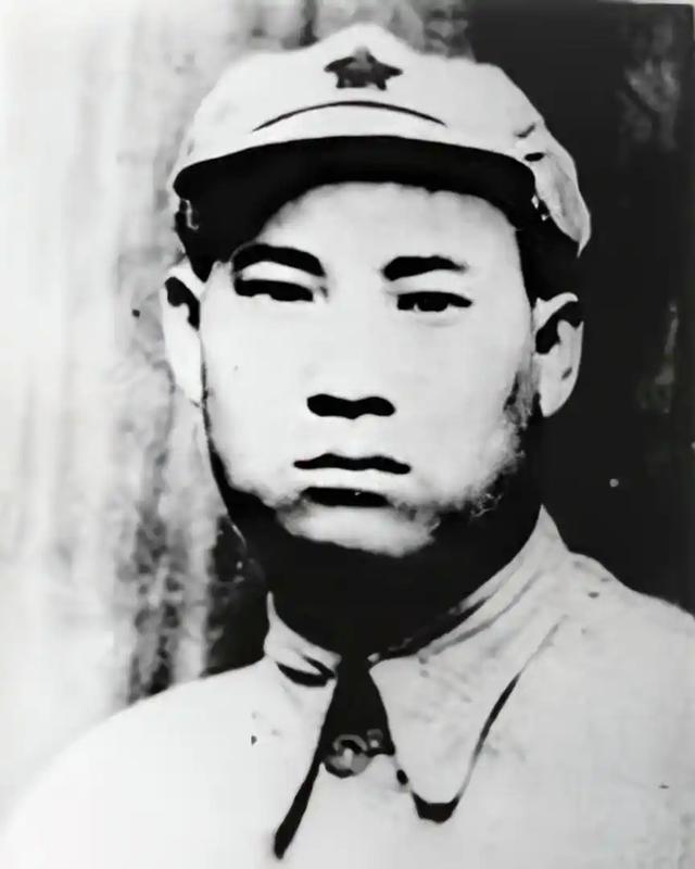 1945年，贺炳炎见到毛主席后用左手敬军礼，毛主席：免掉你这份礼