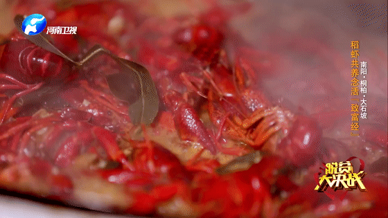 “豆腐西施杨七巧”穿皮裤捉虾，大石坡村上演虾王争霸