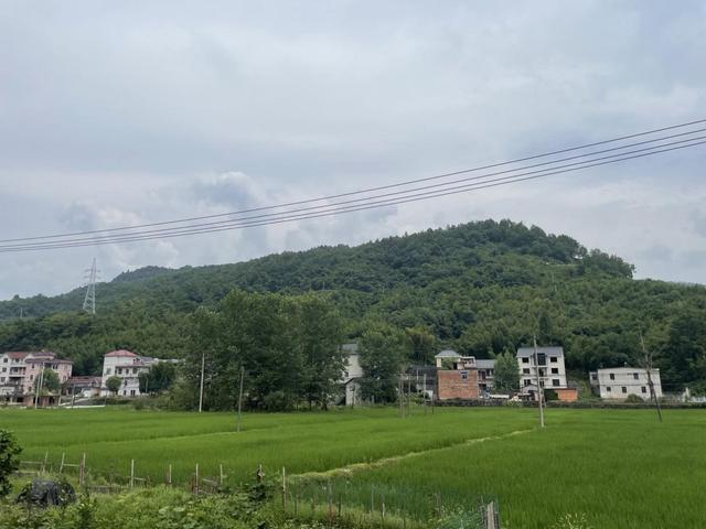 林生斌的井成网红朝圣地，村民自发驻守山路：别再让风言风语破坏永安山名声