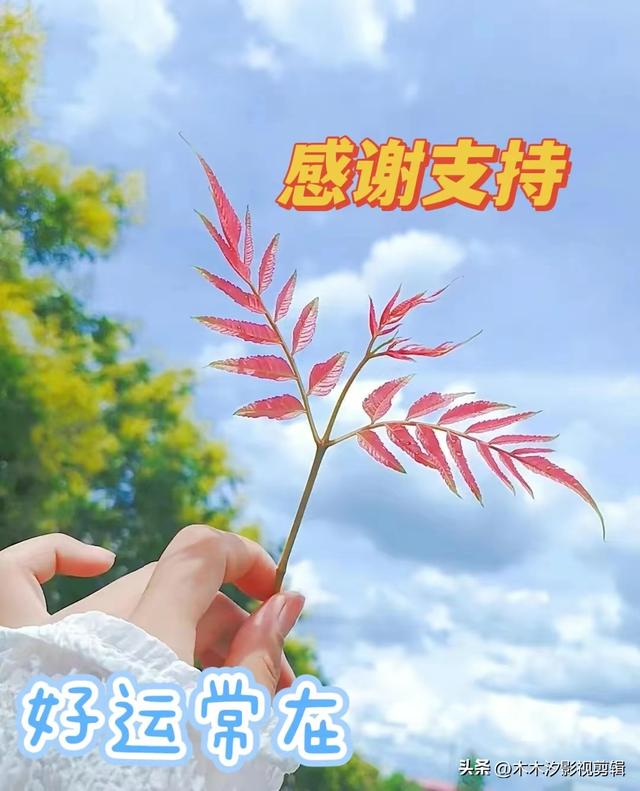 推荐:10部近五年热播的“传奇人物电视剧”榜单,张若昀两部上榜