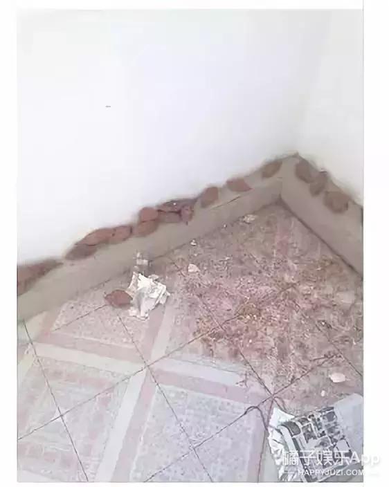 还记得《香蜜沉沉烬如霜》中的彦佑吗？他又换了张脸？