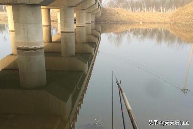 野钓必杀技：选择不同的“方位”，影响了鱼获多少