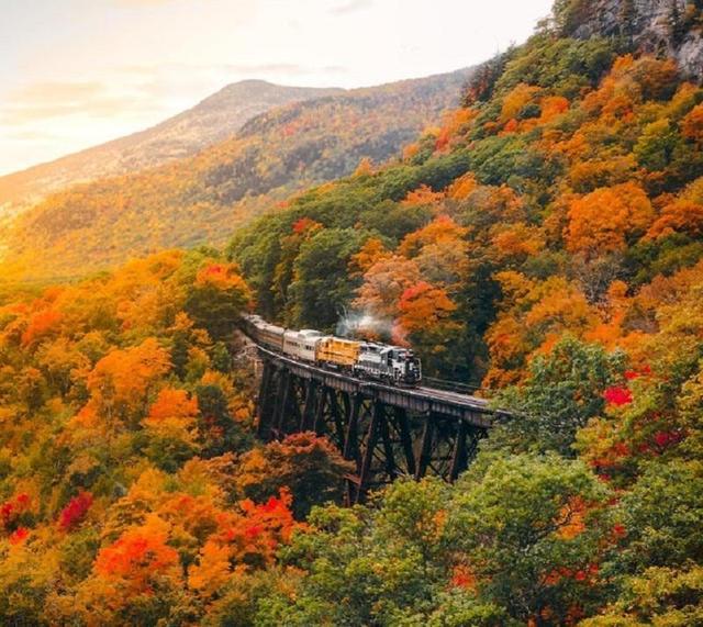 20张精彩照片：丹麦漂亮的超胖女模特，可泡澡的五星级球场观众席