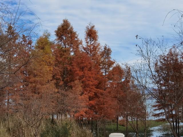 薛之谦《方圆几里》