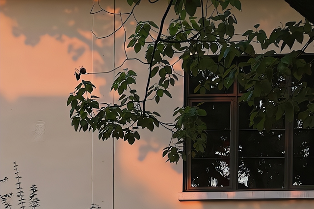 跟你接触时，男人有这3个特质，说明他早已动心