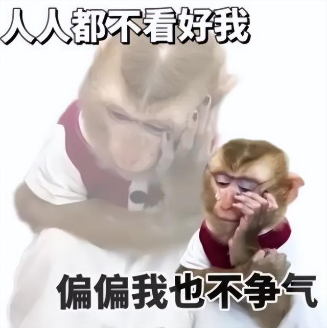 子乔，最近的瓜也太多了吧
