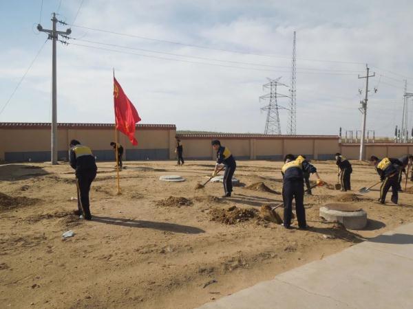 他们在沙漠里实现了“果蔬自由”