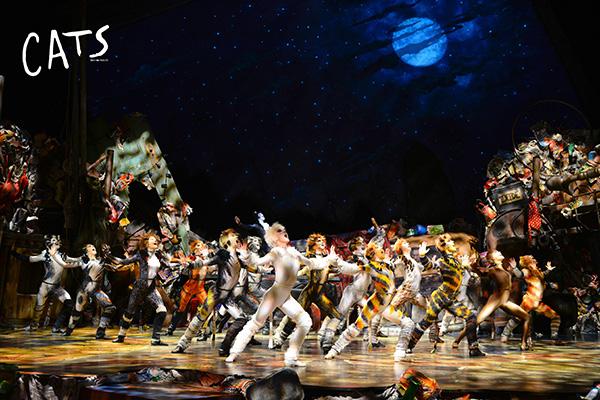 复刻伦敦西区,音乐剧《猫》来上海连演43场