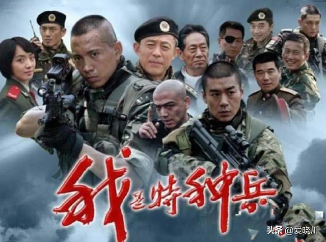 好剧推荐! 15部特警电视剧，每一部都热血沸腾，看过10部算我输