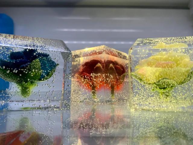 【约会哈尔滨 冰雪暖世界】去年送“小灵龙” 的哈尔滨小伙，今年又做了批“冰封小玫瑰”……