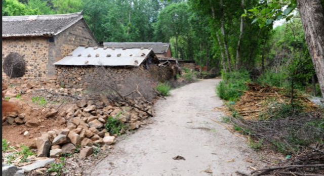 老公舔了六年的妻子，最后老公还是主动提出了离婚，原因让人寒心