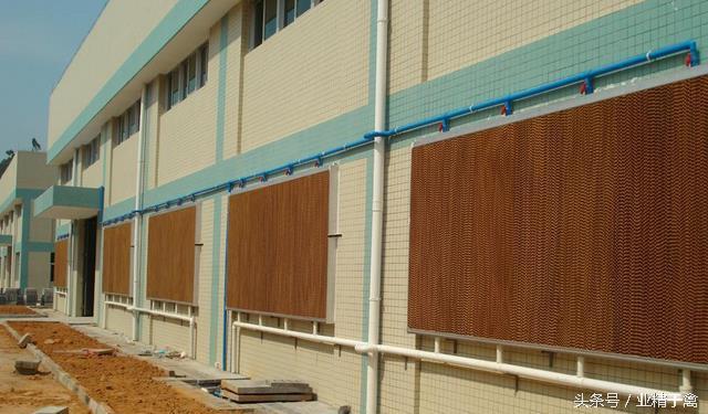 韩国334万多只鸡被热死,酷暑天气养鸡户如何养好鸡?