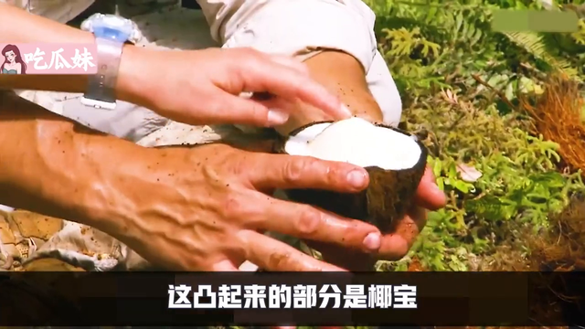 荒野求生-夫妻档 一男一女被困火山岛，用竹子搭建庇护所