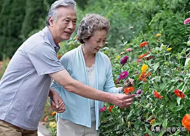 范丞丞父母山东过年,母亲戴翡翠吊坠像大牌新穿搭,二老不像70岁