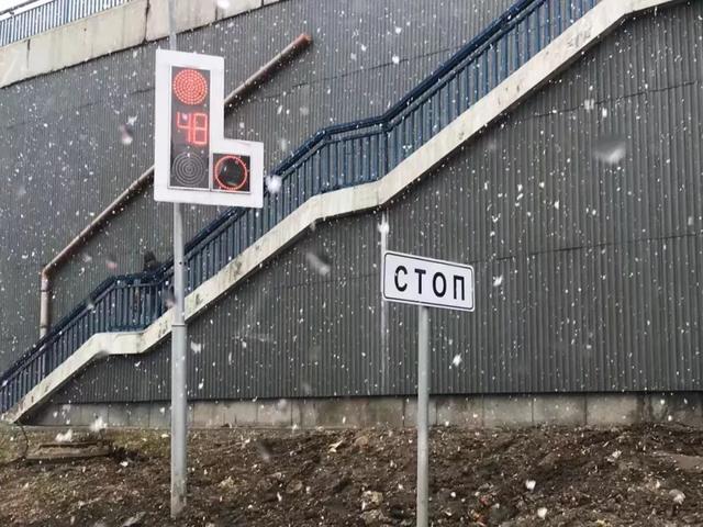 战斗民族有多爱猫咪？只要一猫在手，平时大街上面无表情的俄罗斯人全都展现出了第二人格