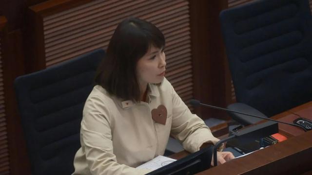 港府两度败诉之后，香港通过最新“反同”议案守护“一夫一妻”！刘淑仪弃权：有重量级人物游说她支持该议案