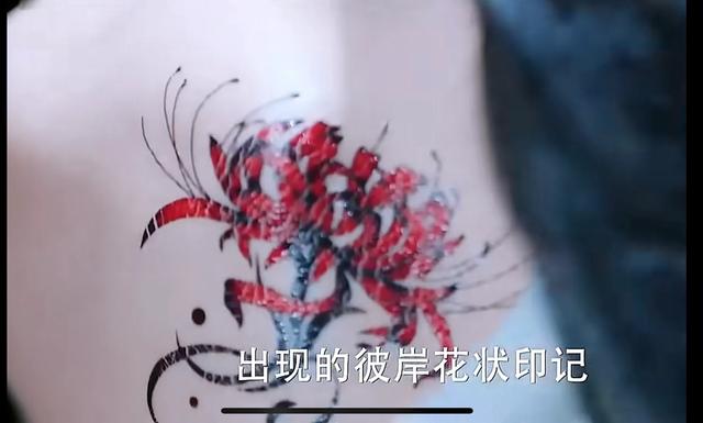 楚乔背后有彼岸花，三生三世白浅手臂疤痕，九重紫窦昭有耳后痣？