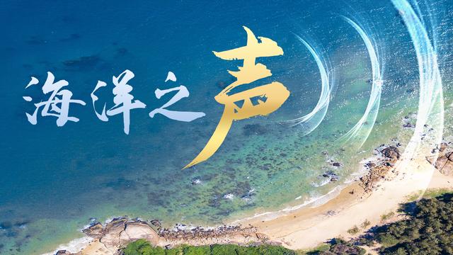 微视频｜海洋之声