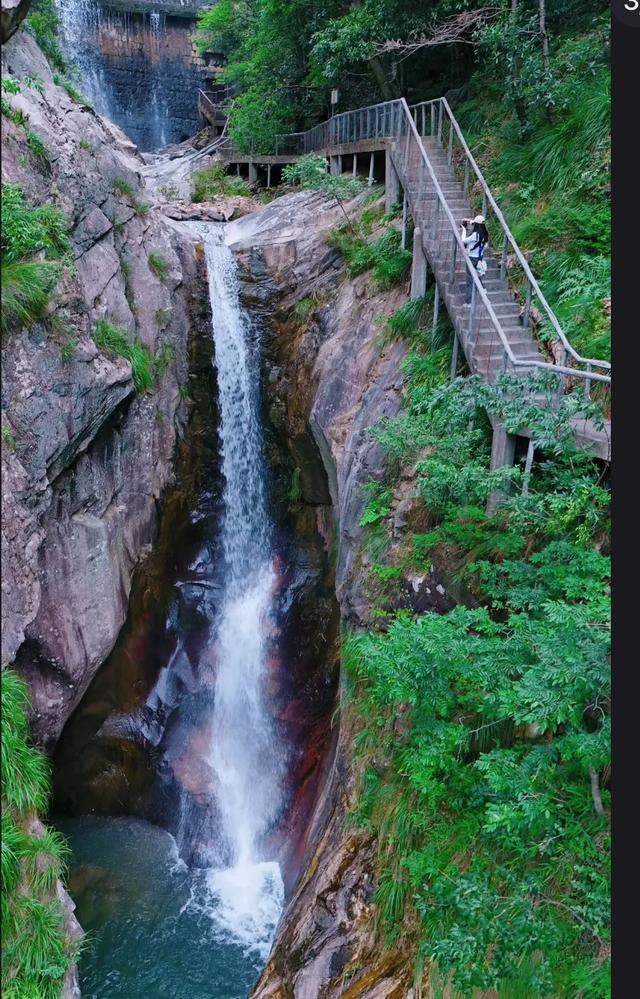 安庆五绝：青铜纹里醉黄梅月光