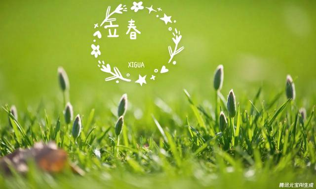 春启新程,暖梦开篇