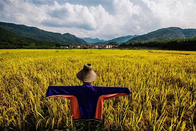 村里的两个“守村人”一个叫李英俊一个叫王潇洒，他们也曾被深爱