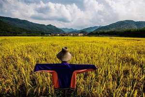 李英俊(村里的两个“守村人”一个叫李英俊一个叫王潇洒，他们也曾被深爱)