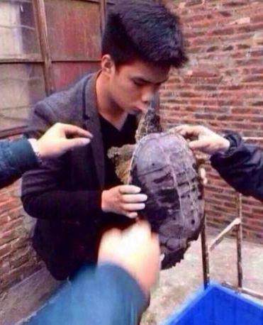 车祸后躺在地上吻，拔掉氧气管还要吻，国产剧花式吻戏智商在哪？