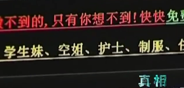 2009年,7.3亿访问量的色情网站“丁香”覆灭,背后是谁在操控?