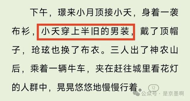 为什么小夭和玹璟这次去轵邑城要特地换那衣服？原来藏着天大秘密