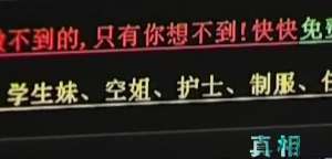 丁香成人视频(2009年，73亿访问量的色情网站“丁香”覆灭，背后是谁在操控？)