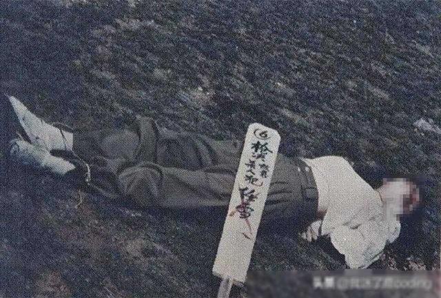 最美死刑犯任雪案件始末，附执行枪决士兵回忆自述