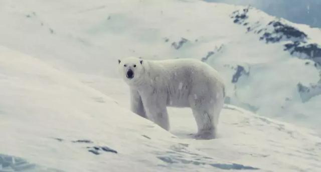 8部末日灾难片，脑洞一个比一个大