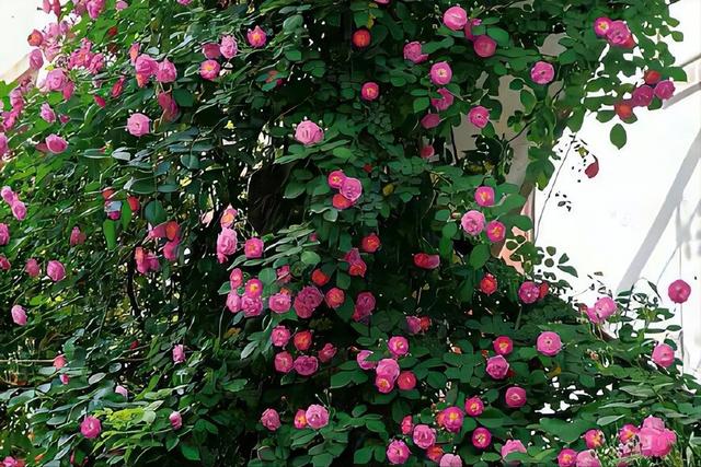 跟你接触时，男人有这3个特质，说明他早已动心