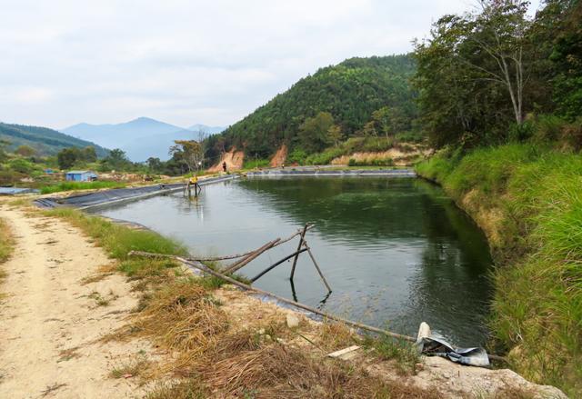 鱼塘不是想挖就能挖,这位“塘主”获刑!