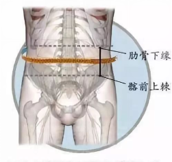 一胖毁所有？是真的……