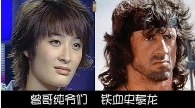 有多无聊?曾轶可花两小时数3000只羊,网友问她累不累