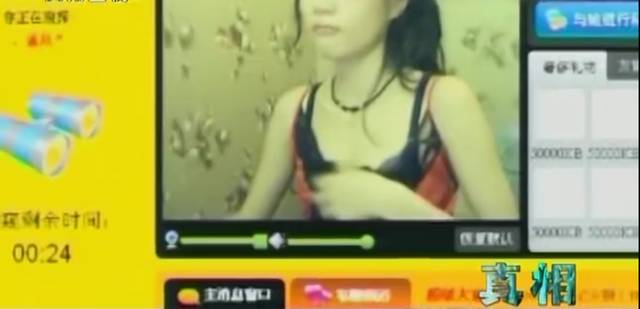 2009年,7.3亿访问量的色情网站“丁香”覆灭,背后是谁在操控?